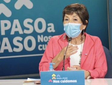Subsecretaria de Salud Pública y fiesta en el lago Villarrica: "Vi las imágenes y sentí gran dolor"