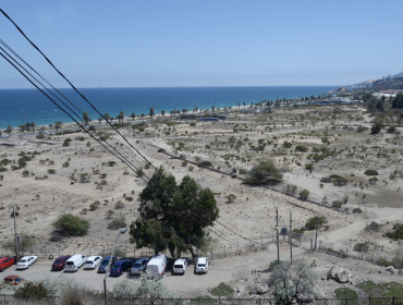 Ripamonti acusa a Piñera de "presiones indebidas" luego que el Gobierno priorizara proyecto en Las Salinas