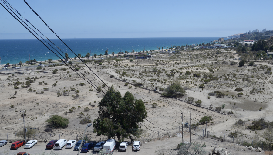 Ripamonti acusa a Piñera de "presiones indebidas" luego que el Gobierno priorizara proyecto en Las Salinas