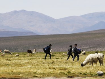 Gobernadores regionales del Norte Grande se reunirán con equipo de Izkia Siches para abordar la crisis migratoria