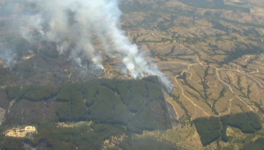 Dos focos simultáneos de incendio han consumido dos viviendas y cerca de 550 hectáreas en Cauquenes