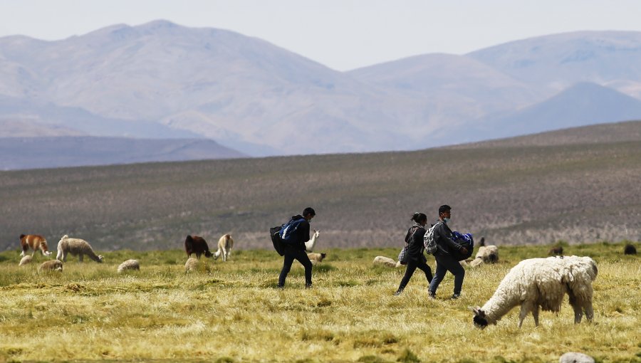 Gobernadores regionales del Norte Grande se reunirán con equipo de Izkia Siches para abordar la crisis migratoria