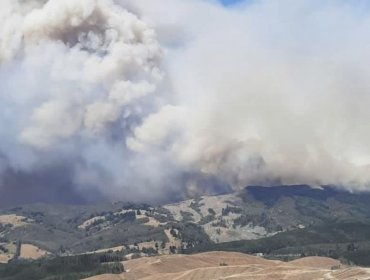 Incendio forestal en Cholchol amenaza viviendas de una comunidad mapuche