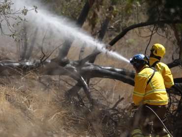 PDI investiga posible intencionalidad en dos incendios simultáneos en Cauquenes