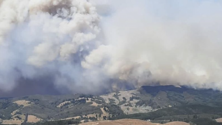 Incendio forestal en Cholchol amenaza viviendas de una comunidad mapuche