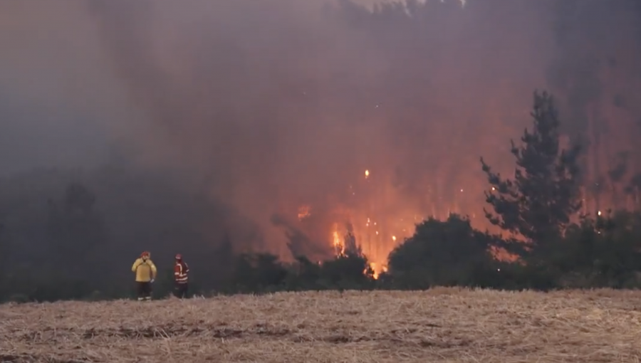 Propagación de incendio forestal termina consumiendo seis viviendas y un galpón en Osorno
