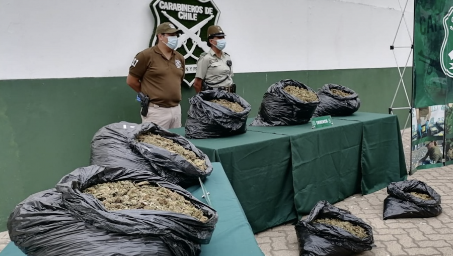 37,5 kilos de marihuana elaborada fueron sacados de circulación desde quebrada en sector rural de Cabildo: dos detenidos