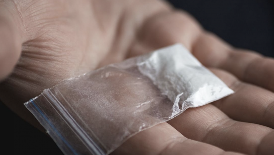 Carfentanilo, el medicamento para dormir elefantes que encontraron en la cocaína adulterada que mató a 24 personas en Argentina