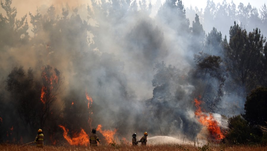 Incendios forestales han consumido más de 41 mil hectáreas en la región de La Araucanía