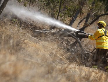 Hombre de 78 años muere en incendio forestal originado en la parrilla donde cocinaba en el Biobío