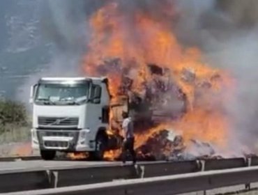 Camión incendiado en ruta 5 Norte origina incendio forestal en la comuna de Hijuelas