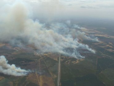 Decretan Alerta Roja por incendio forestal que amenaza viviendas e infraestructura crítica en Ercilla