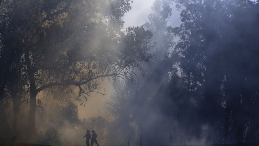 0,45 hectáreas consumió incendio forestal con Alerta Roja en San Pedro de la Paz