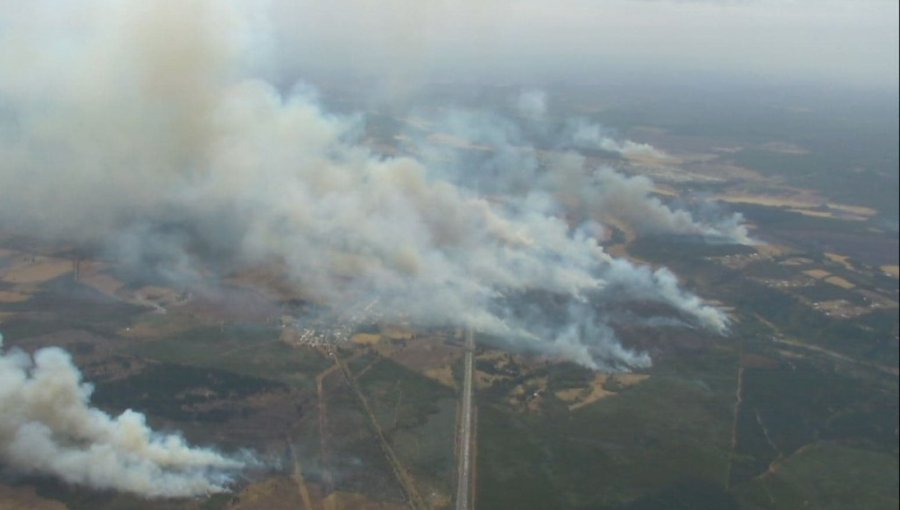 Decretan Alerta Roja por incendio forestal que amenaza viviendas e infraestructura crítica en Ercilla