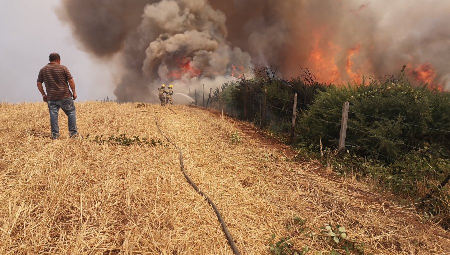 Declaran Alerta Roja para la comuna de Lautaro por incendio forestal cercano a sectores habitados