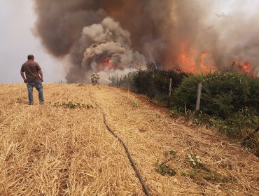 Declaran Alerta Roja para la comuna de Lautaro por incendio forestal cercano a sectores habitados