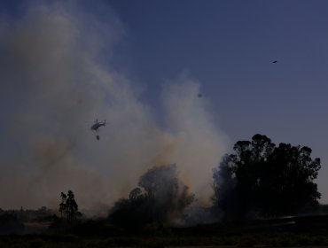 Declaran Alerta Roja para la comuna de Cañete por incendio forestal cercano a sectores habitados