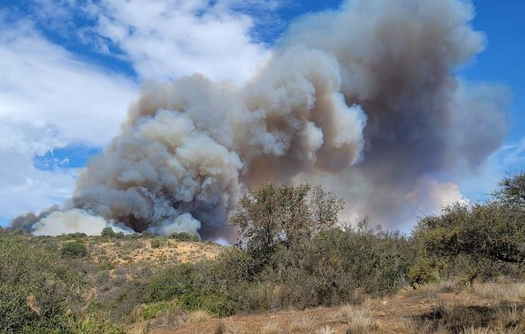 Declaran Alerta Amarilla para la comuna de San Antonio por incendio forestal con comportamiento extremo