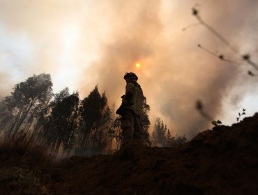 Cancelan la Alerta Amarilla para la comuna de Lanco por incendio forestal que se mantiene controlado