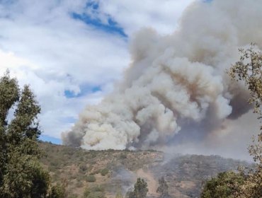 Declaran Alerta Roja para San Antonio por incendio forestal: solicitan la evacuación preventiva del poblado "Valle Abajo" de Cuncumén