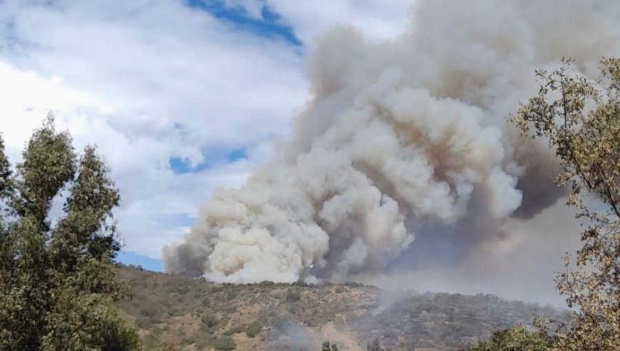 Declaran Alerta Roja para San Antonio por incendio forestal: solicitan la evacuación preventiva del poblado "Valle Abajo" de Cuncumén