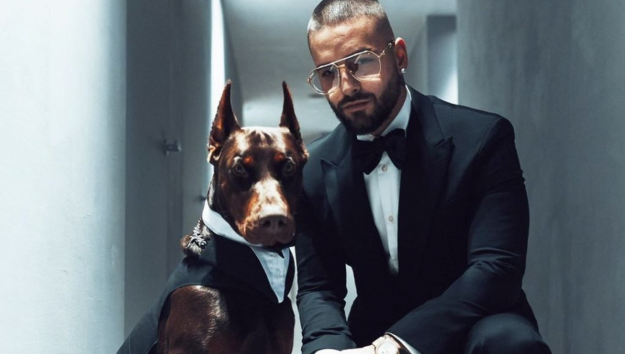 Maluma reveló que su perro de raza Doberman le mordió el rostro: “No lo hizo de malas”