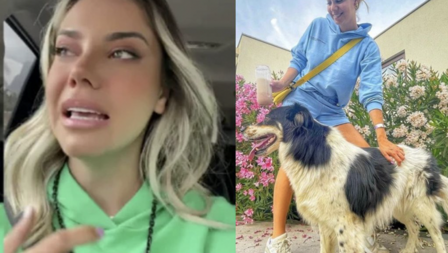 Camila Stuardo desclasificó complejo momento que vive con su perro Fénix: no podrá viajar junto a él a México