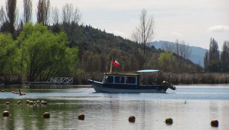 Prohíben el ingreso a Laguna Avendaño de Quillón luego de que estudio indicase que sus aguas pueden causar dermatitis atópica