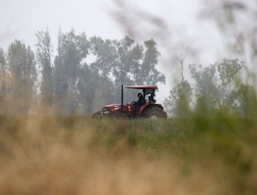 Sociedad Nacional de Agricultura alerta que conflicto en Ucrania podría provocar inestabilidad en el precio del trigo y el maíz