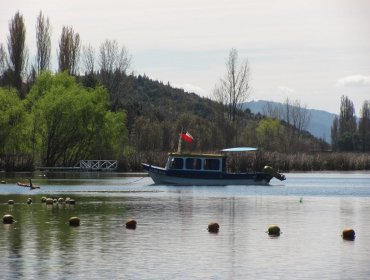 Prohíben el ingreso a Laguna Avendaño de Quillón luego de que estudio indicase que sus aguas pueden causar dermatitis atópica