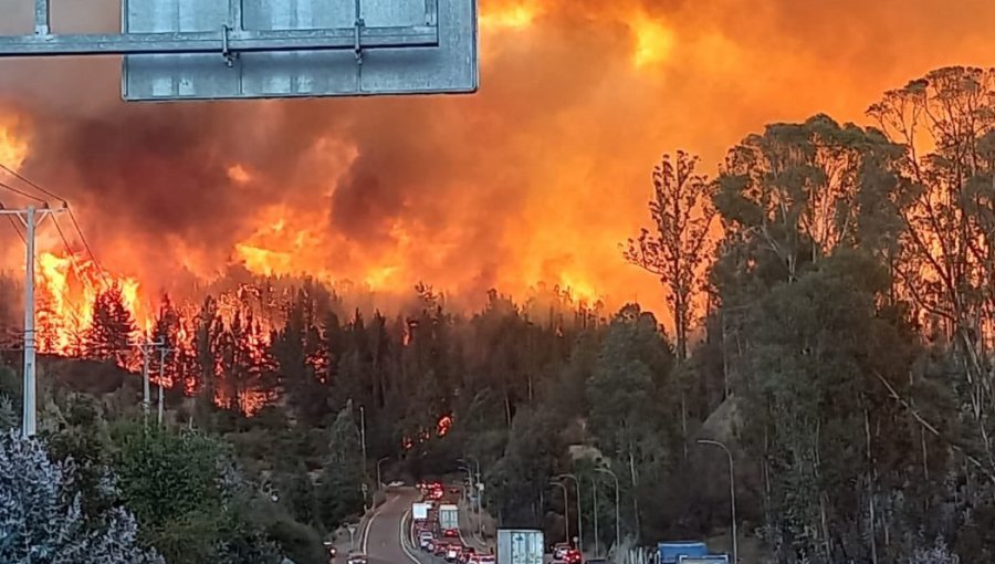 Incendio forestal descontrolado en la parte alta de Valparaíso obliga a cortar la ruta 68