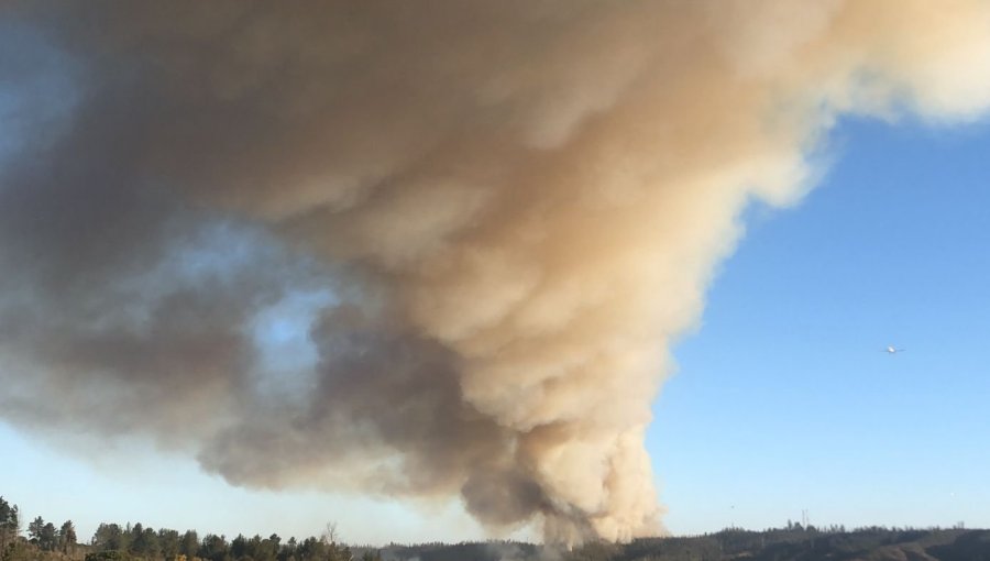 Incendio forestal de proporciones afecta al sector Loma Negra en el camino La Pólvora de Valparaíso
