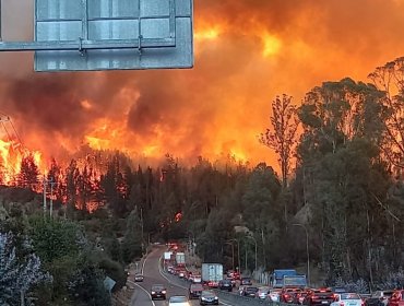 Incendio forestal descontrolado en la parte alta de Valparaíso obliga a cortar la ruta 68