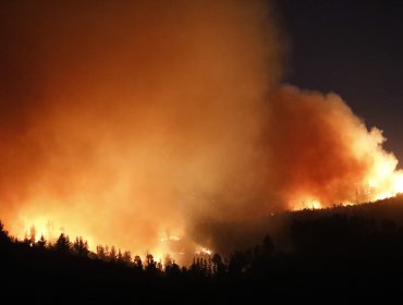 Incendio forestal en la parte alta de Valparaíso ha consumido 50 hectáreas y mantiene cortada la ruta 68