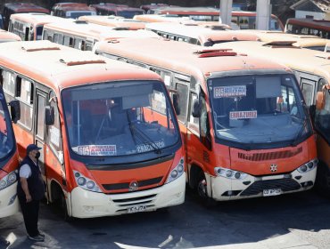 Valparaíso - Reñaca sin servicio de tres líneas de microbuses: choferes inician paro total en protesta a polémica decisión