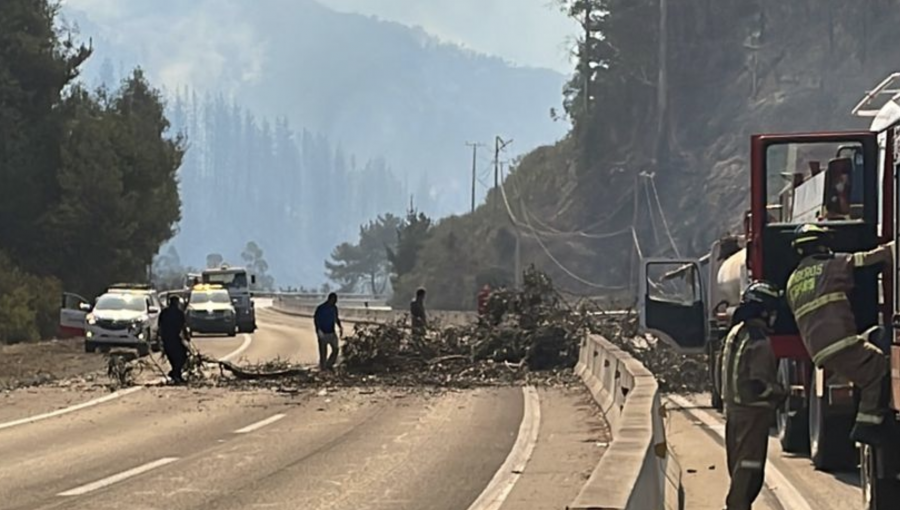 Caída de un árbol de gran tamaño provoca nueva suspensión del tránsito vehicular en la ruta 68
