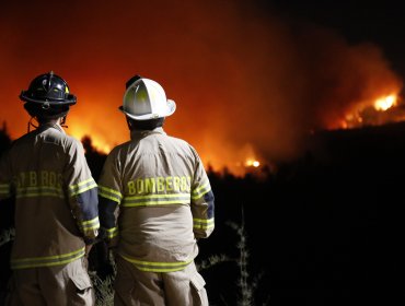 Activo se mantiene el incendio forestal a un costado de la ruta 68 de Valparaíso: ha consumido 100 hectáreas