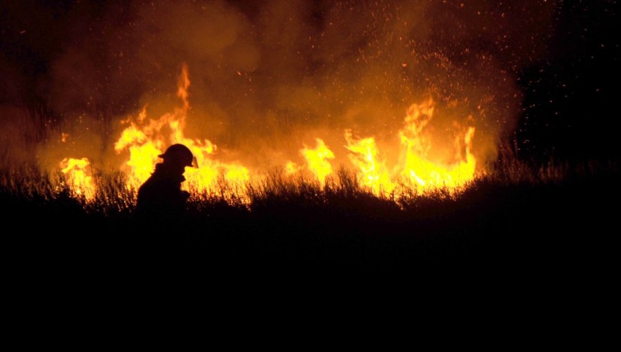 Emergencia en vertedero de Valparaíso: incendio forestal que consumió pastizales y eucaliptos movilizó a Bomberos y Conaf