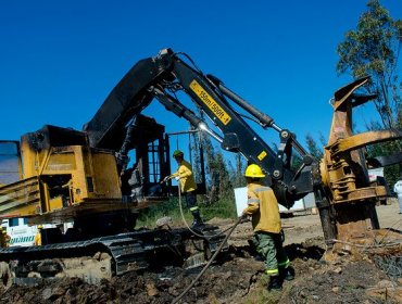 Desconocidos incendiaron camiones y maquinarias en Los Sauces: carabineros fueron atacados y un trabajador resultó herido a bala