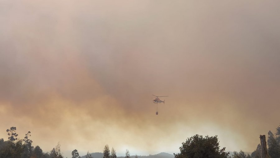 Advierten posible intensionalidad en incendio forestal que ha consumido 550 hectáreas en Penco