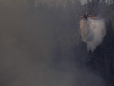 Activo se mantiene el incendio forestal a un costado de la ruta 68 de Valparaíso: ha consumido 350 hectáreas