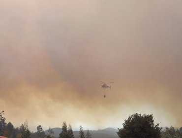 Advierten posible intensionalidad en incendio forestal que ha consumido 550 hectáreas en Penco