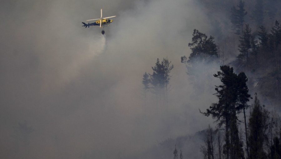 Incendio forestal en la parte alta de Valparaíso fue controlado: cancelan la Alerta Roja y declaran Alerta Amarilla