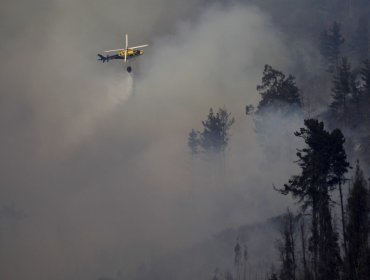 Incendio forestal en la parte alta de Valparaíso fue controlado: cancelan la Alerta Roja y declaran Alerta Amarilla