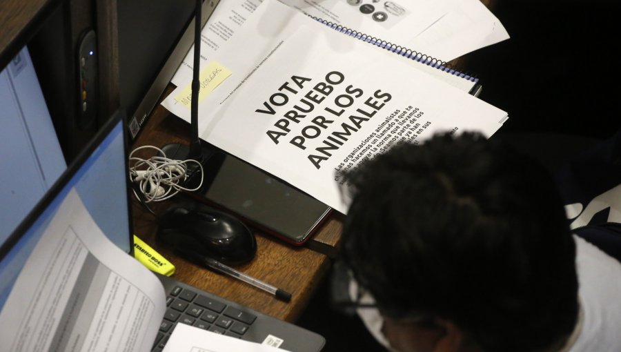 Convención solo aprobó 6 de los 38 artículos de la comisión de Medio Ambiente