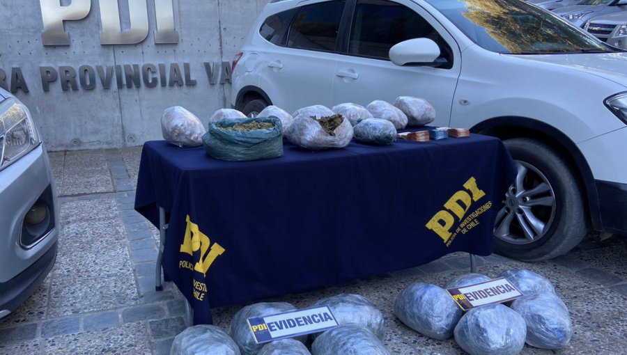 Capturan a miembros de una banda que cultivaba marihuana e incautan más de 20 kilos de droga en Quilimarí