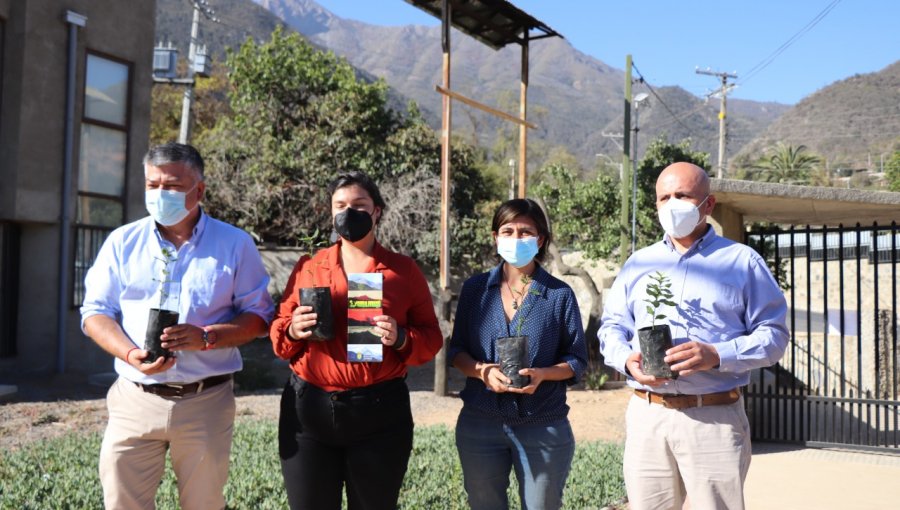 Alcaldías de las comunas de Marga Marga aúnan fuerzas contra el proyecto de termoeléctrica "Los Rulos"