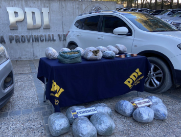 Capturan a miembros de una banda que cultivaba marihuana e incautan más de 20 kilos de droga en Quilimarí