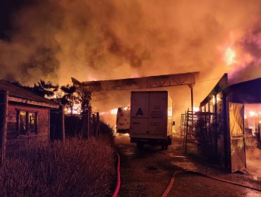 Nuevo ataque incendiario deja dos máquinas forestales destruidas en Arauco