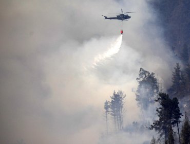 Decretan Alerta Roja para San Rosendo por incendio forestal cercano a sectores habitados